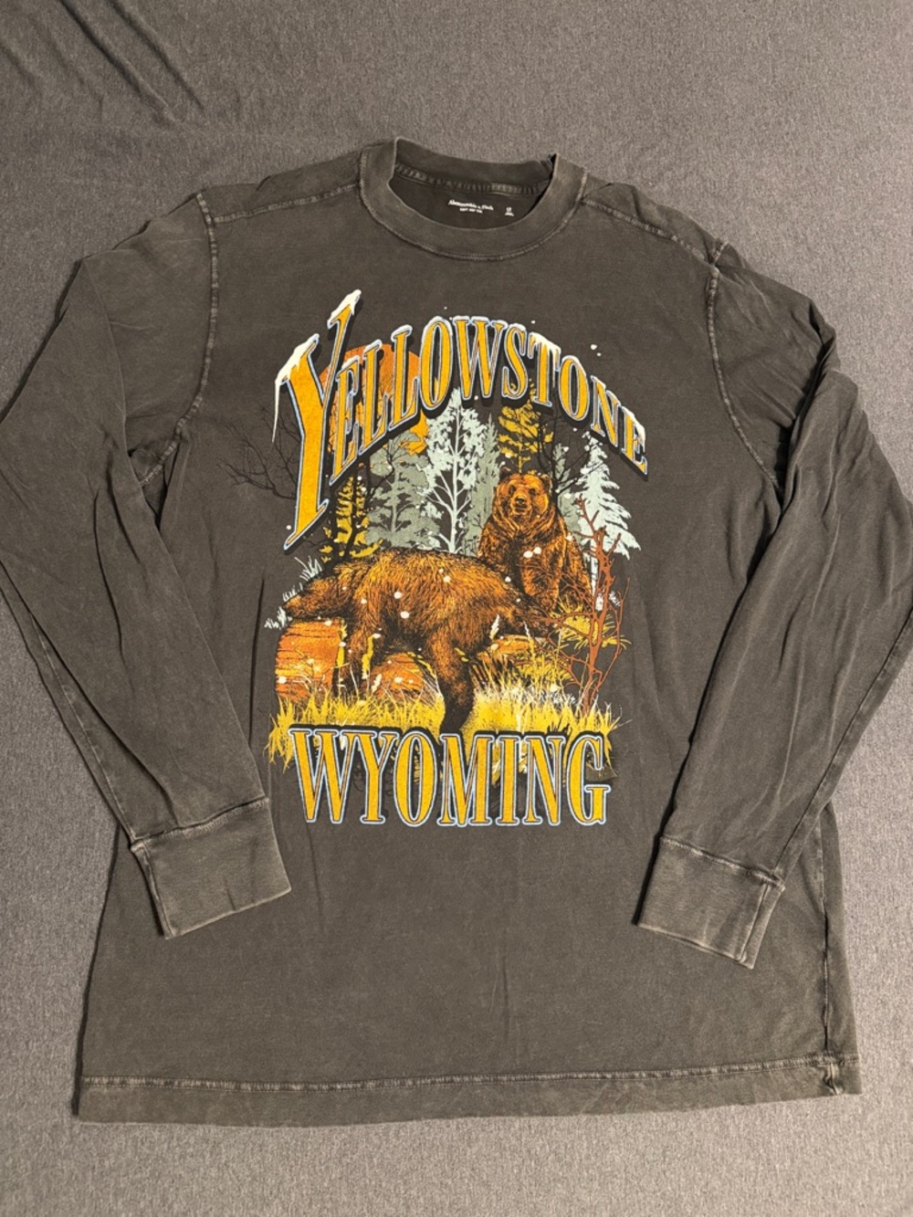 Abercrombie & Fitch Gray Long-Sleeve Yellowstone Wyoming Bear Graphic Tee